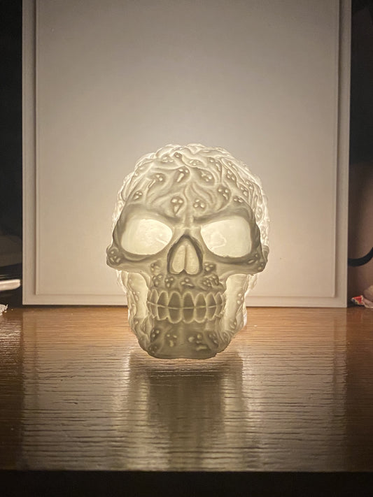 Crâne blanc de face avec led